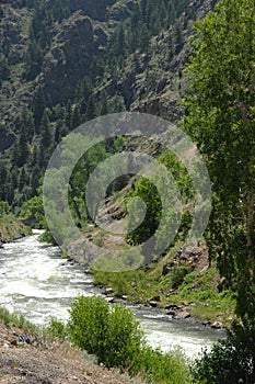 Colorado Mountain Stream 1