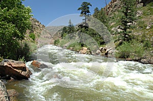 Colorado Mountain Stream 15