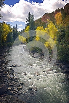 Colorado Mountain Stream