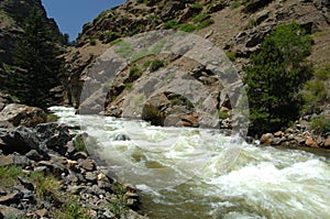 Colorado Mountain Stream 23