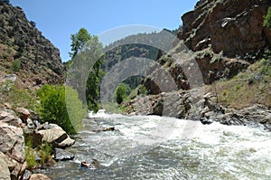 Colorado Mountain Stream img