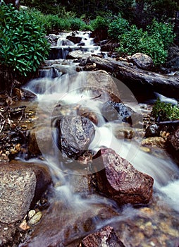 Colorado Mountain Stream