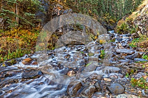 Colorado Mountain Stream in Autumn