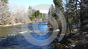 Colorado Mountain stream