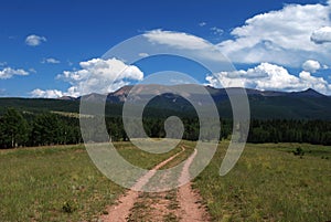 Colorado Mountain Trail