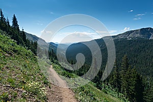Colorado Mountain Trail