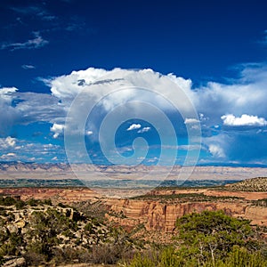 Massive rock walls and vast canyons characterize Colorado National Monument