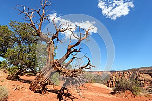 Colorado National Monument