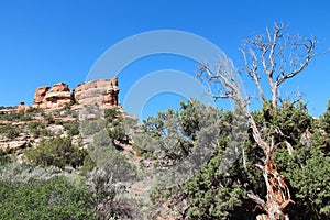 Colorado National Monument