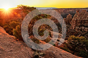 Colorado National Monument, Grand Junction, USA