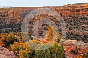 Colorado National Monument, Grand Junction, USA