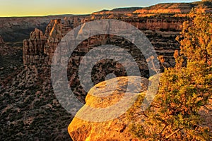 Colorado National Monument, Grand Junction, USA