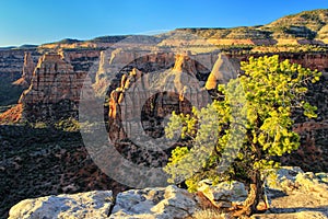 Colorado National Monument, Grand Junction, USA