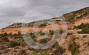 Colorado National Monument near Grand Junction