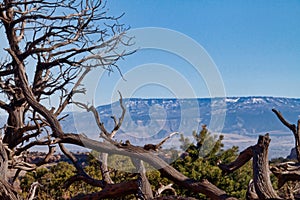 View of Grand Mesa from Colorado National Monument