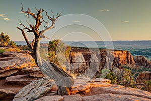 Colorado National Monument at Sunrise