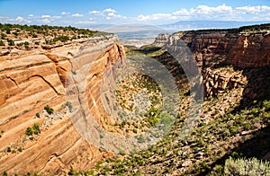 Colorado National Monument photo