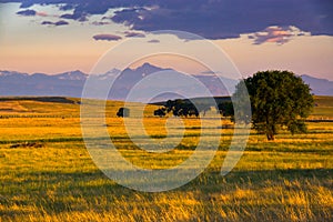 A Colorado Plains Sunrise photo