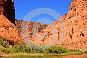 Colorado River Arizona