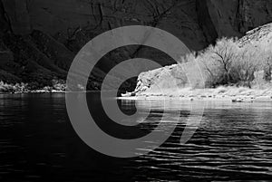 Colorado River Arizona in Infrared