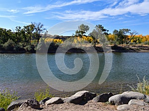 Colorado River with golden aspens on the shore