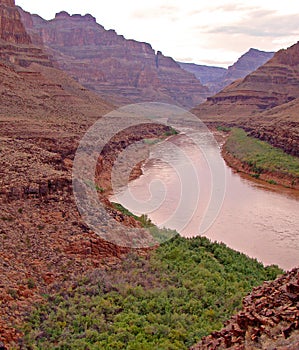 Colorado River in the Grand Canyon