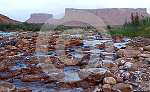 Colorado River, Moab, Utah, USA photo