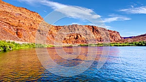 The Colorado River at Paria Beach near Lees Ferry in Marble Canyon