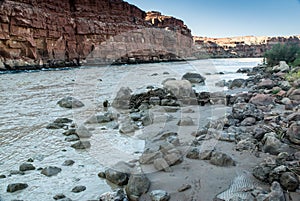 Colorado River Shoreline at Lee`s Ferry