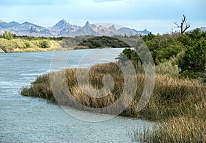 Colorado River shoreline at Needles, California