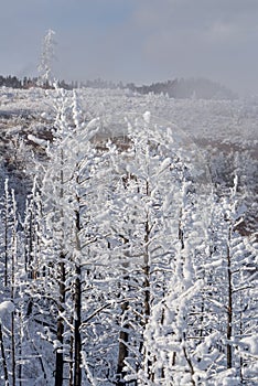 Colorado rockies frozen snow winter landscape