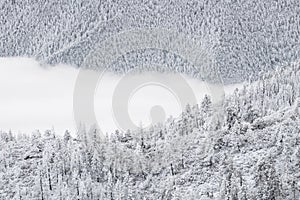 Colorado rockies frozen snow winter landscape