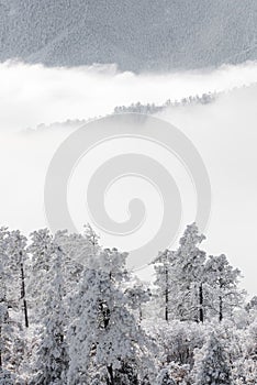 Colorado rockies frozen snow winter landscape