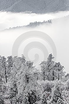 Colorado rockies frozen snow winter landscape