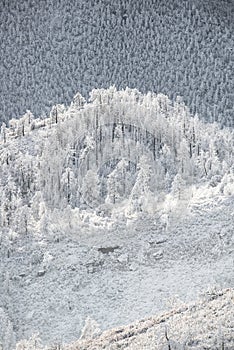 Colorado rockies frozen snow winter landscape