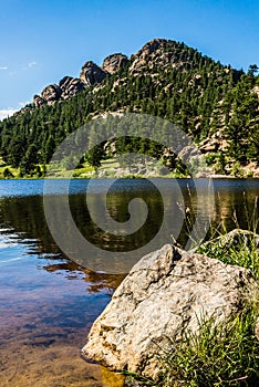 Colorado Rocky Mountain Lily Lake