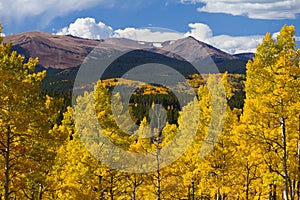 Colorado Rocky Mountains and Golden Aspens in Fall