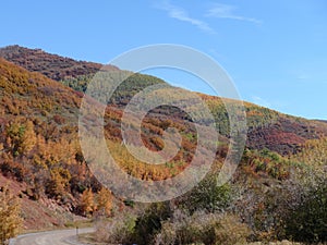 Colorado Rocky Mountains with leaves changing along a ridge