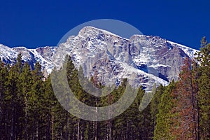 Colorado Rocky Mountains and Pine Trees photo