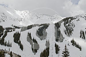 Colorado Ski Slopes photo