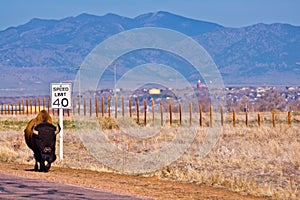 Colorado Speed Trap