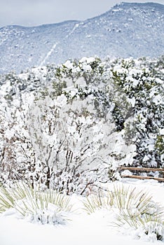 Colorado Springs Pikes Peak Range Winter Snow