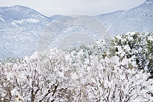 Colorado Springs Pikes Peak Range Winter Snow