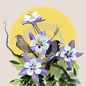 Colorado State Birds Flowers Drawing