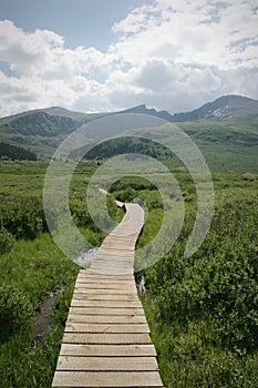 Colorado Summer Mountain Backcountry Scene photo