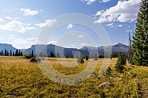 Colorado Weminuche Wilderness Meadow Scenery