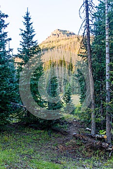 Colorado Weminuche Wilderness Scenery