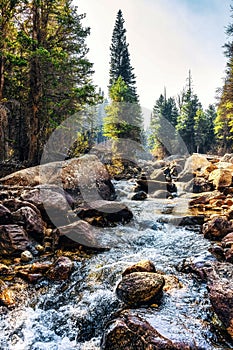 Colorado wild basing ouzel falls