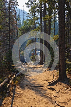 Colorado wild basing ouzel falls