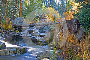 Colorado Wilderness